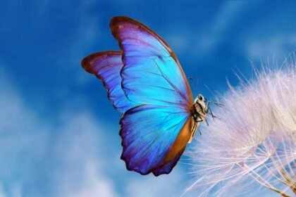 Enterprise-wide AI transformation starts with change management