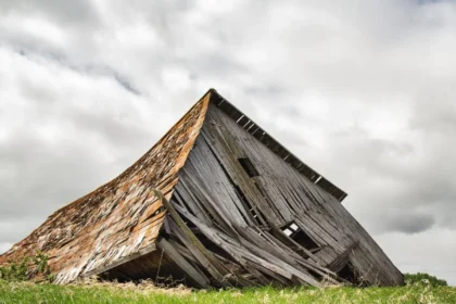 Moving from Content Collapse to Intelligent Digital Experiences
