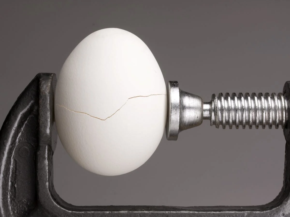 The DAM Governance Lessons Regulated Industries Can Teach the Rest of Us
