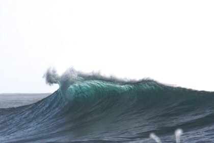 Zywave expands AI platform to reshape insurance growth