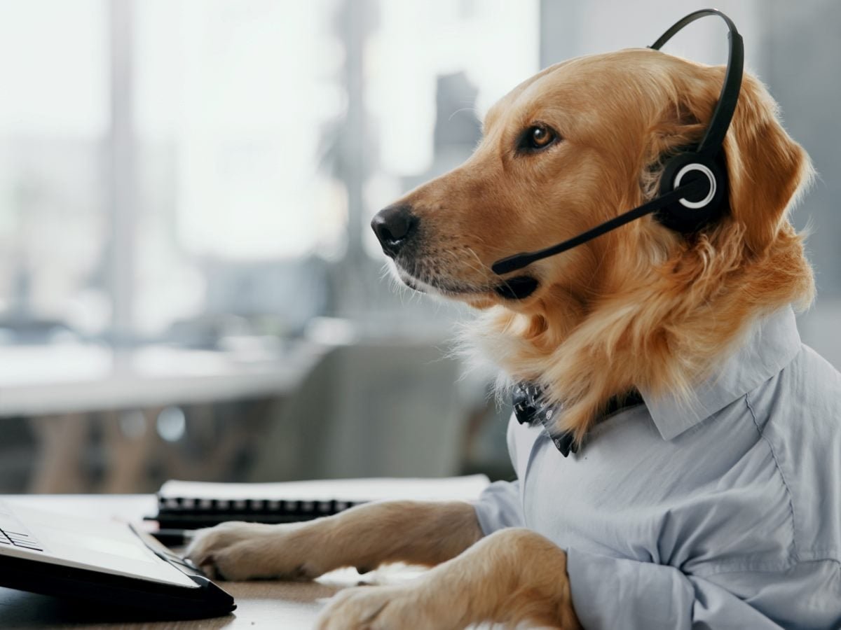 Customer Loyalty Programs Won't Save You. Empowered Agents Will.