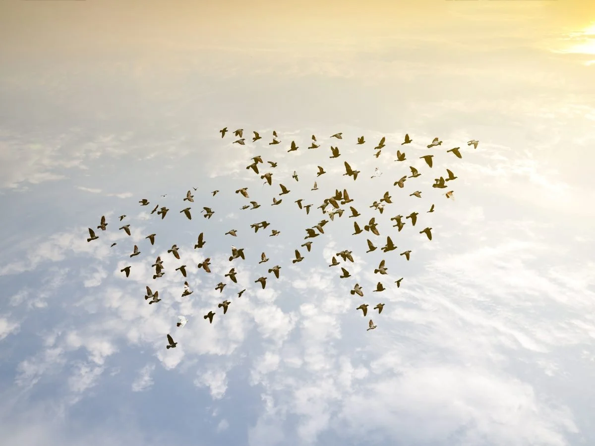 Technical Debt Is Quietly Undermining Customer Trust