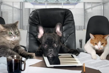 What Actual CFOs Want From Your CX Business Case