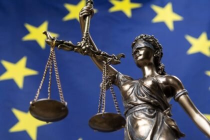 What the EU AI Act Reveals About AI Governance