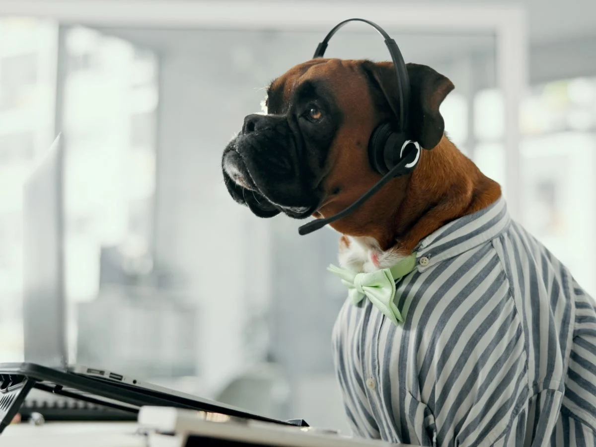 What Is a Call Center? Types, Tech and Metrics for 2026